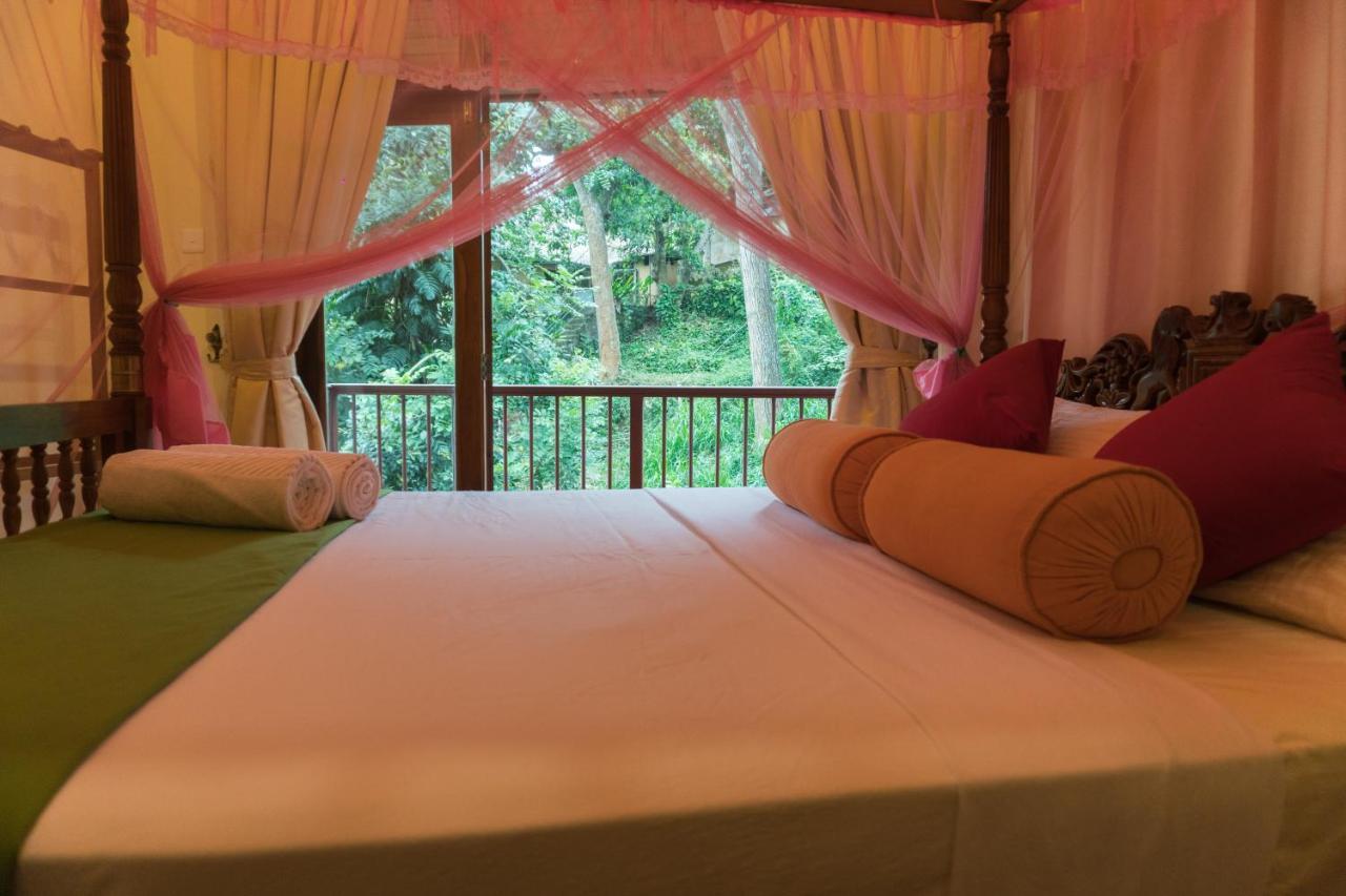 Aronka Homestay แคนดี้ ภายนอก รูปภาพ
